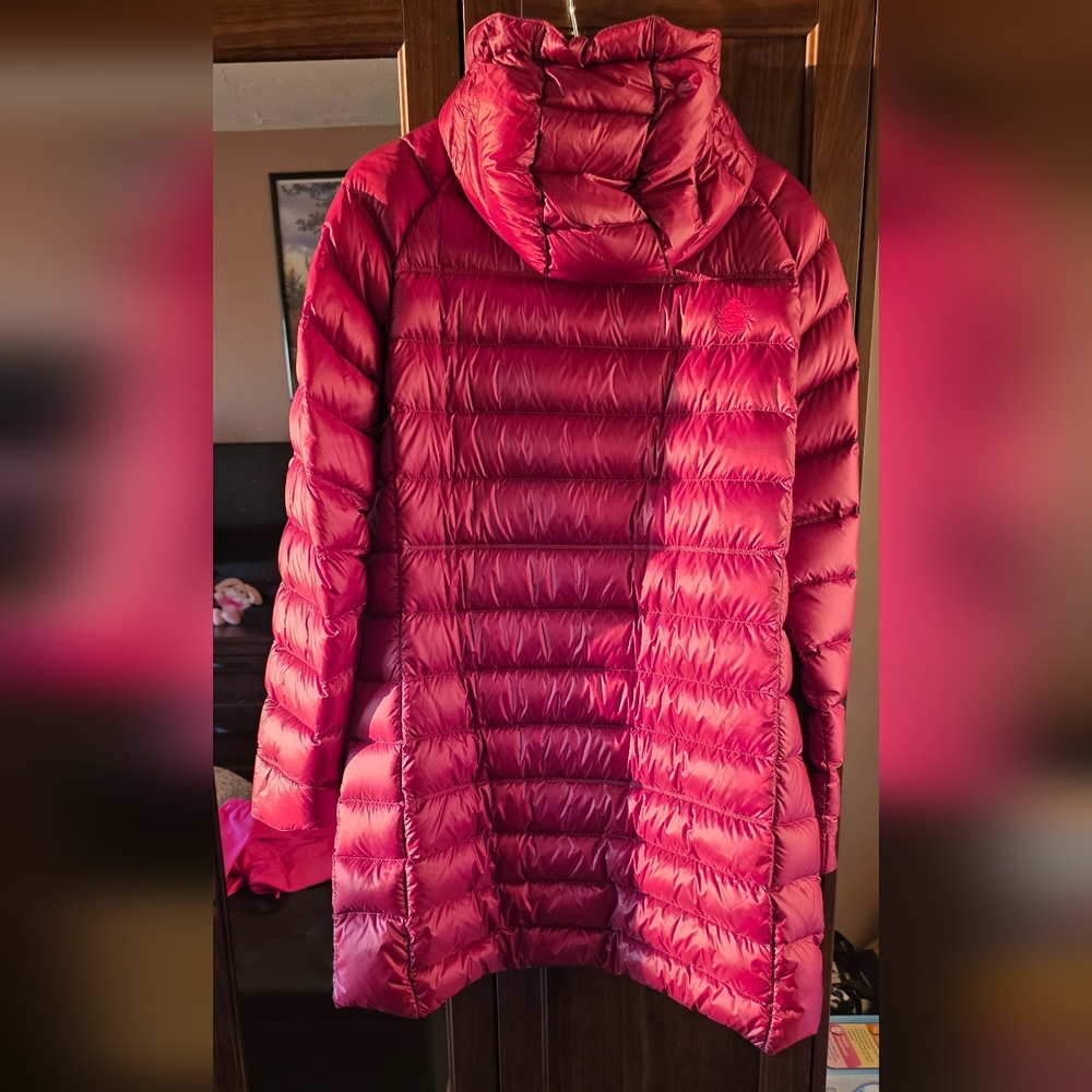 Stio Hometown Goose Down Parka - Picture 3 of 10